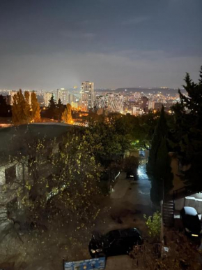 Brand new apartment-Vashlijvari